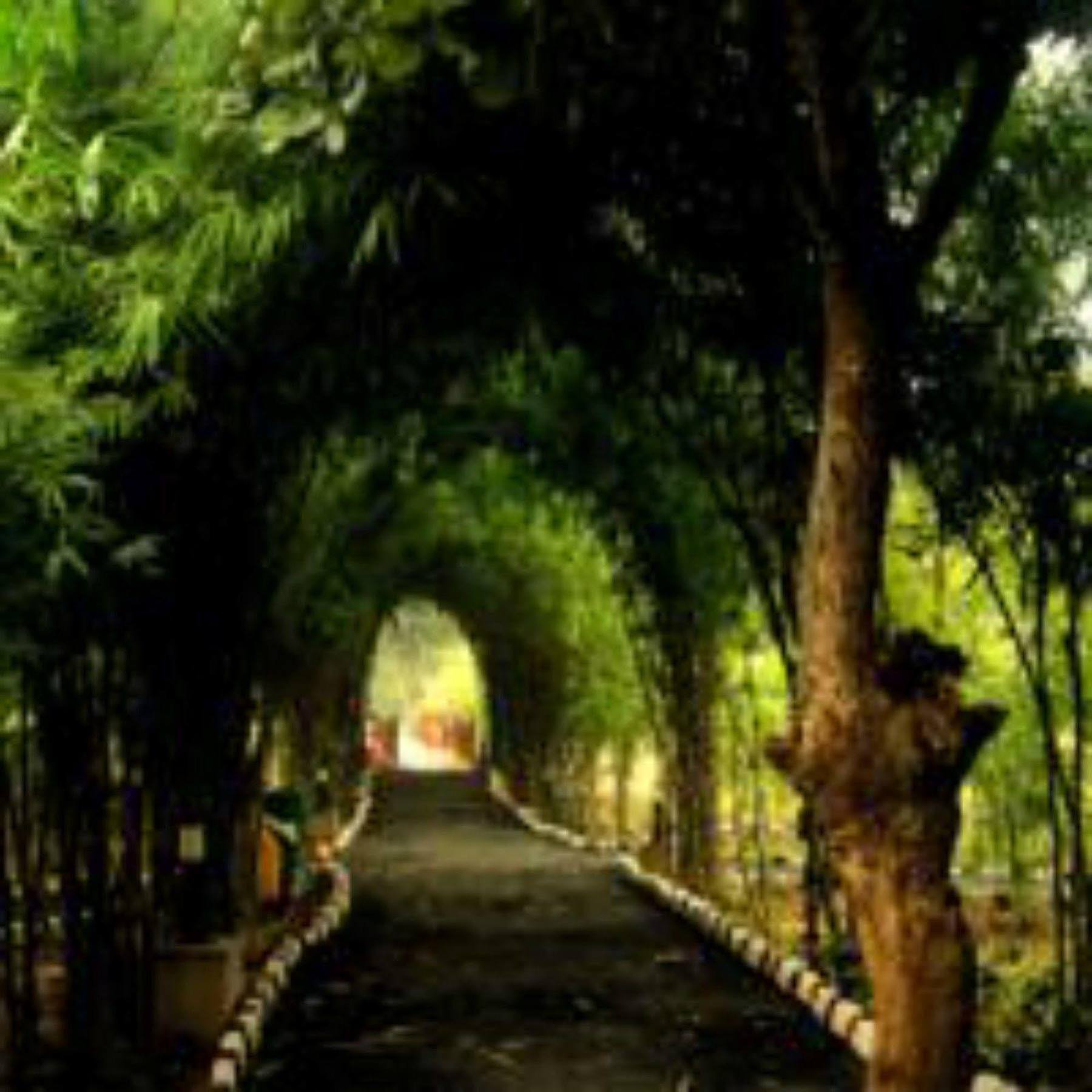 Lemon Tree Wildlife Resort, Bandhavgarh Tāla المظهر الخارجي الصورة